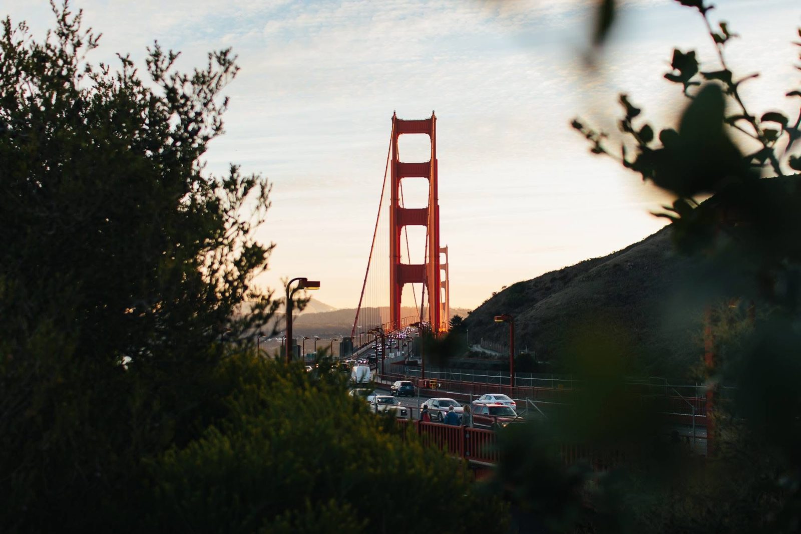 The Golden Gate Bridge framed by trees at dusk