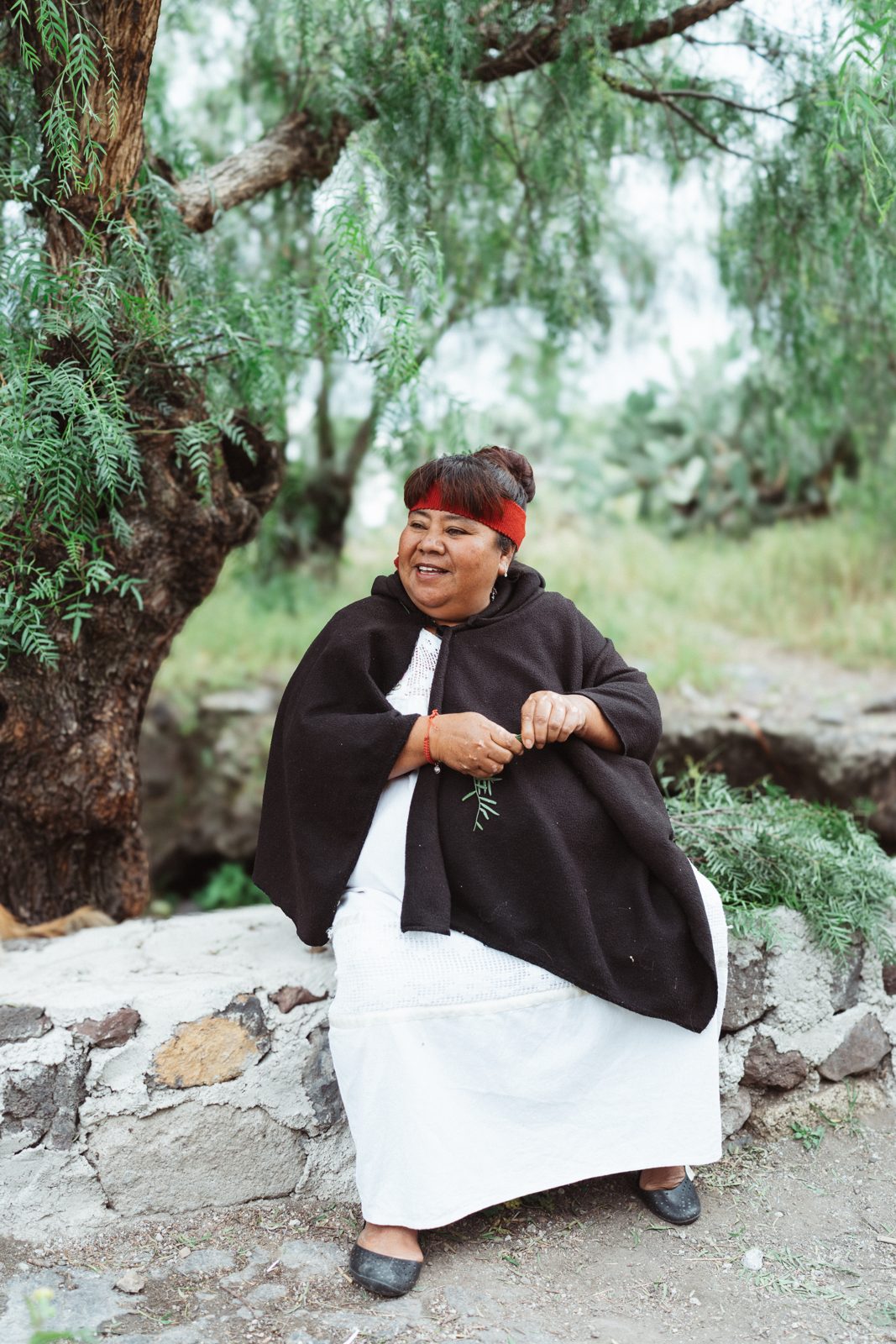 Elder wrapped in a dark cloak seated beneath a tree