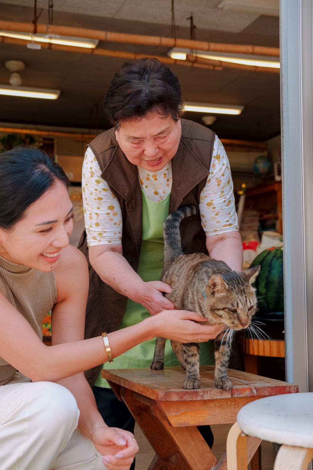 Two women greeting a cat in a shop