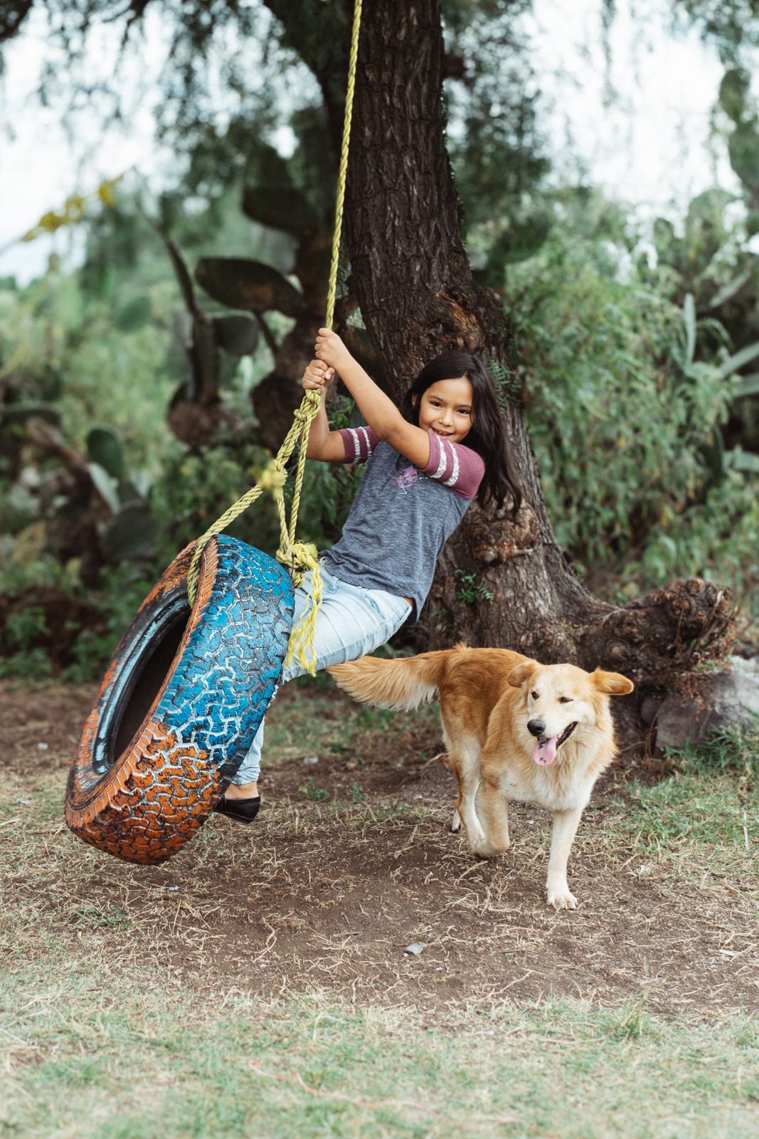 Girl on a tire swing with a curious dog